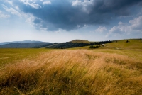 Vogesen Routes des Cretes / F